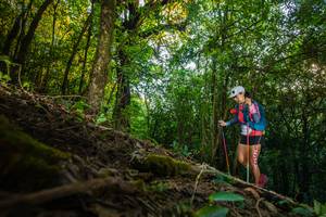 BIB: 
                            <button type="button" onclick="openModal(16015904)" class="btn btn-primary btn-sm float-right btn-popup" data-toggle="modal" data-target=".modal-high-quality">
                        <i class="fas fa-shopping-cart"></i> Add to Cart
                    </button>
                                            <button type="button" onclick="isThisMe(16015904, true)" class="btn btn-success btn-sm float-right btn-popup btn-isme hidden" data-toggle="tooltip" data-placement="bottom" title="นี่คือรูปของคุณใช่ไหม คลิกที่นี่เพื่อเอาเข้าอัลบั้ม">
                        <i class="fas fa-plus"></i> Add to album
                    </button>
                    <button type="button" onclick="isThisMe(16015904, false)" class="btn btn-warning btn-sm float-right btn-popup btn-isnotme hidden">
                        <i class="fas fa-ban"></i> Remove from album
                    </button>